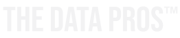 The Data Pros Logo